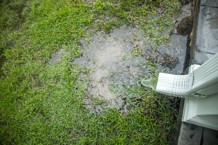 Water pooling near a downspout on grass after rainfall in Dallas, TX